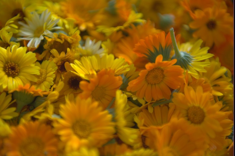 Креме и мелеми