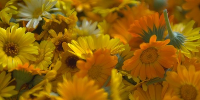 Креме и мелеми 