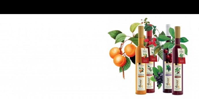 LIKERI MANASTIRA ŽIČE