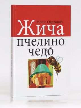 Жича, пчелино чедо